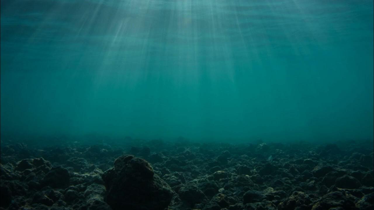 Überraschung in der Wissenschaftsgemeinde: Entdeckung einer Meeresverwerfung, die unser Verständnis der Erde verändert